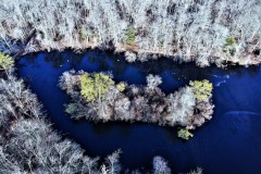 Above Connetquot State Park