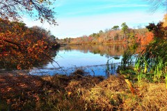 Fall Colors of Long Island